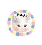 猫ちゃん言葉あそび（個別スタンプ：1）