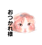 猫ちゃん言葉あそび（個別スタンプ：4）