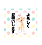 猫ちゃん言葉あそび（個別スタンプ：7）