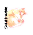 猫ちゃん言葉あそび（個別スタンプ：8）