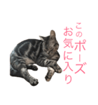 たーくん 2（個別スタンプ：2）