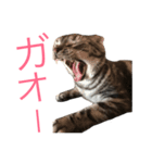 たーくん 2（個別スタンプ：4）