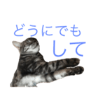 たーくん 2（個別スタンプ：7）