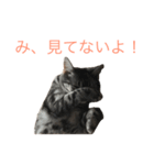 たーくん 2（個別スタンプ：8）