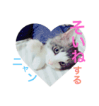 ぼくグレンでふ（個別スタンプ：1）