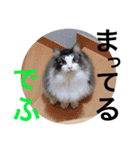 ぼくグレンでふ（個別スタンプ：5）