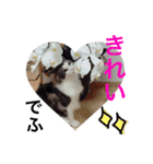 ぼくグレンでふ（個別スタンプ：7）
