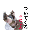 ぼくグレンでふ（個別スタンプ：8）