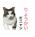 ぼくグレンでふ（個別スタンプ：13）