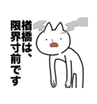 楢橋さんのスタンプ（個別スタンプ：12）