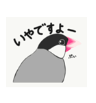 あいらぶんちょー（個別スタンプ：3）