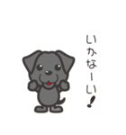 クロラブとコーギー（個別スタンプ：6）