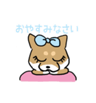 柴犬ひな（個別スタンプ：4）