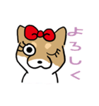 柴犬ひな（個別スタンプ：7）