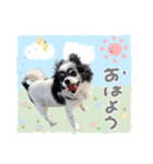 モコハニウィルSTAMP(by hoho)（個別スタンプ：1）