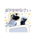 モコハニウィルSTAMP(by hoho)（個別スタンプ：2）