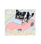 モコハニウィルSTAMP(by hoho)（個別スタンプ：4）