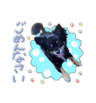 モコハニウィルSTAMP(by hoho)（個別スタンプ：7）