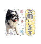 モコハニウィルSTAMP(by hoho)（個別スタンプ：8）