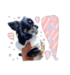 モコハニウィルSTAMP(by hoho)（個別スタンプ：9）