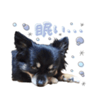 モコハニウィルSTAMP(by hoho)（個別スタンプ：11）