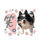モコハニウィルSTAMP(by hoho)（個別スタンプ：13）
