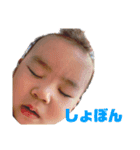 ひったんすたんぷ②（個別スタンプ：10）