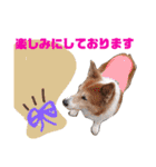 ワンこの挨拶（個別スタンプ：18）
