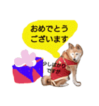 ワンこの挨拶（個別スタンプ：22）