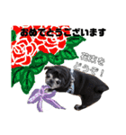 ワンこの挨拶（個別スタンプ：24）