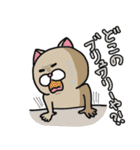 ニャンカス＆オタマ4（個別スタンプ：32）