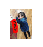 さくらのかわいいスタンプ（個別スタンプ：6）