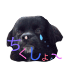 るきまる1（個別スタンプ：5）