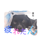 るきまる1（個別スタンプ：6）
