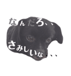 るきまる1（個別スタンプ：7）