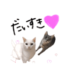 ちーまーきー（個別スタンプ：3）