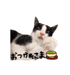 ちーまーきー（個別スタンプ：4）