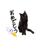 ちーまーきー（個別スタンプ：8）