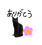 ちーまーきー（個別スタンプ：12）