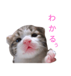 AKKスタンプ♪（個別スタンプ：13）