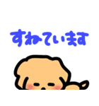 毎日使える可愛い犬トイプードルわんこ（個別スタンプ：28）