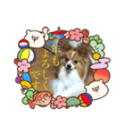 新年に使える愛犬ミュウのスタンプ（個別スタンプ：2）