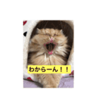 tomomiosawa（個別スタンプ：3）