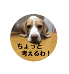 tomomiosawa（個別スタンプ：15）