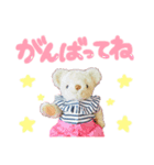 いっちゃんベアースタンプ（個別スタンプ：7）
