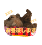 ざらちゃんぽん03（個別スタンプ：20）