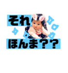 yoizuki_20181206004313（個別スタンプ：4）