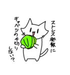 ばんのーねこ（個別スタンプ：5）