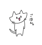 ばんのーねこ（個別スタンプ：21）