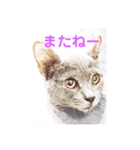 りいのすけスタンプ コーギーとクロネコ（個別スタンプ：1）